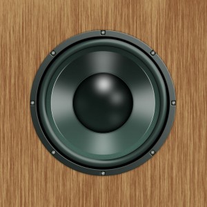 Subwoofer fertig Holz Subwoofer fertig Holz